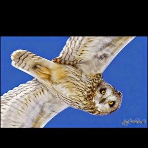 Meet your Posher, Keshia